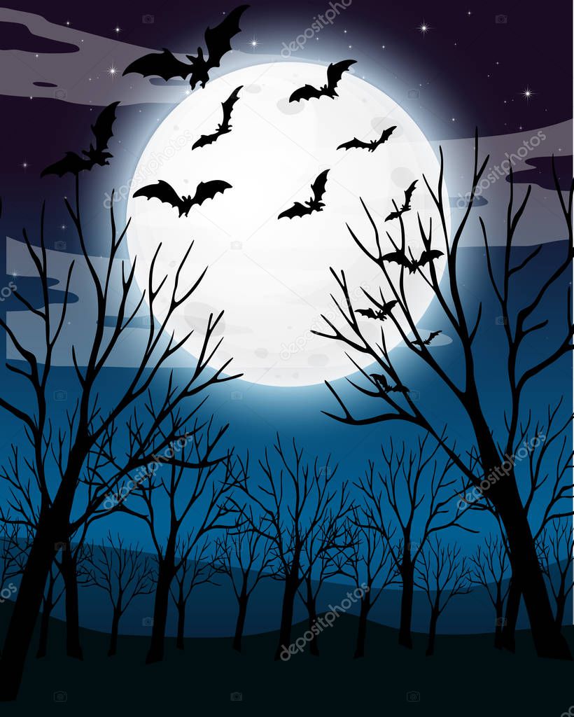 Scary Dark Night Forest Background