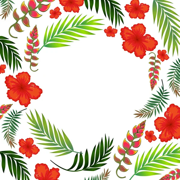 Magnifique modèle de fleurs tropicales d'été — Image vectorielle