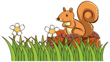 Isolated picture of cute squirrel