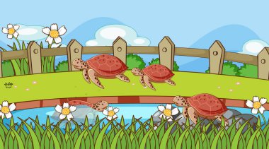 Scene with turtle in garden