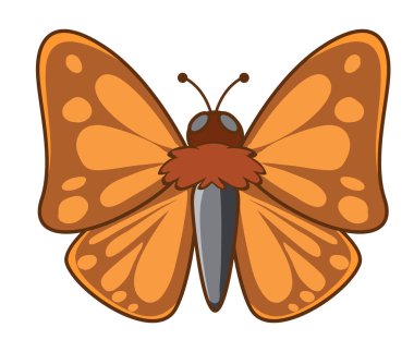 Beyaz arka planda gece güvesi