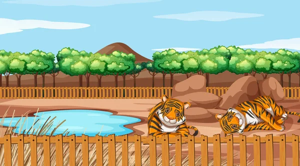 Scena con due tigri allo zoo — Vettoriale Stock