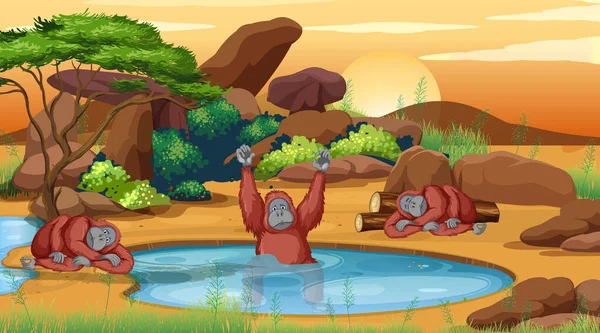 Scene with three chimpanzees by the pond — Stock Vector