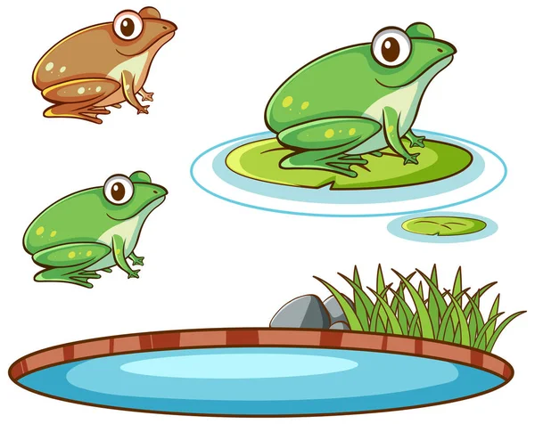 Terisolasi gambar katak dan kolam - Stok Vektor