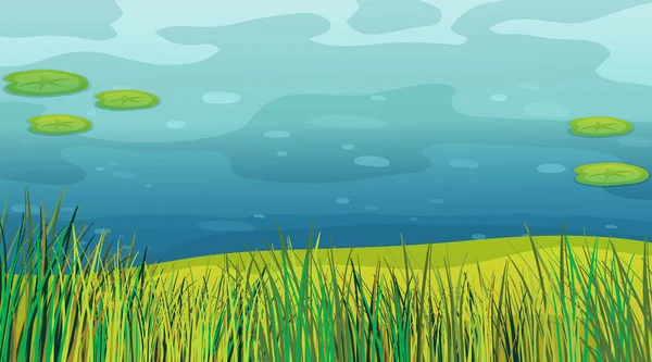 Achtergrond scène met gras en vijver — Stockvector