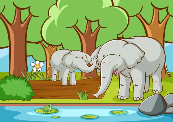 숲 속의 코끼리 두 마리와 함께 있는 장면 — 스톡 벡터