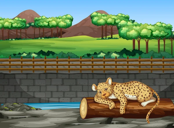 Scène avec tigre dans le zoo — Image vectorielle