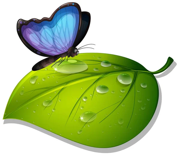 Mariposa azul sobre hoja verde sobre fondo blanco — Vector de stock