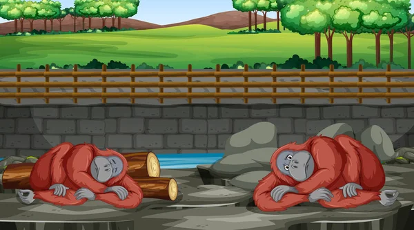 Scena z dwoma szympansami w zoo — Wektor stockowy
