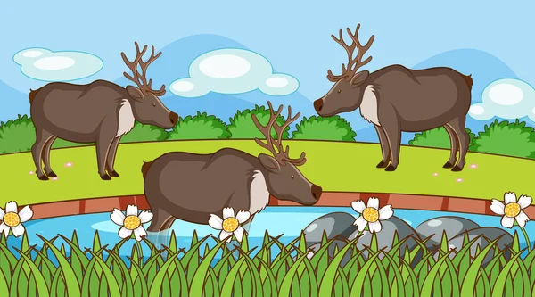 Scene with reindeers in garden — Stock Vector