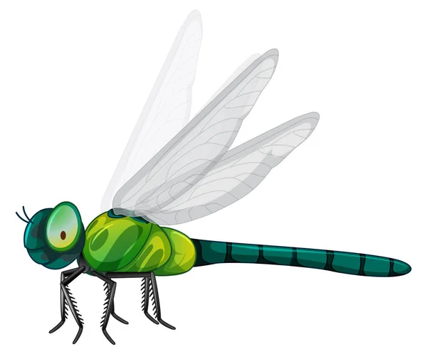 Green dragonfly on white background — Stock Vector