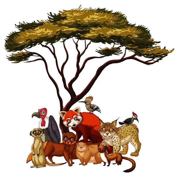 Isoliertes Bild vieler Tiere unter Baum — Stockvektor