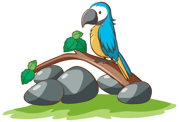 Isolated picture of cute parrot — Stock Vector