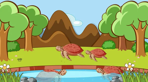 Scena con tartarughe nel parco — Vettoriale Stock