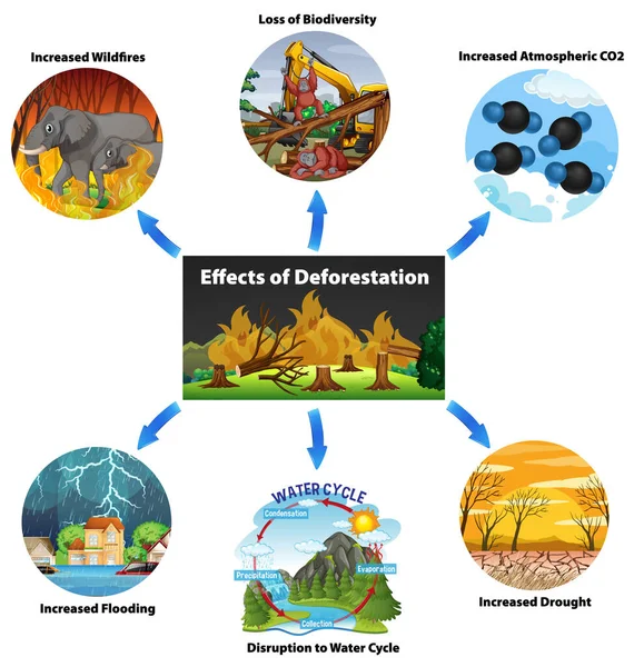 Grafico che mostra gli effetti della deforestazione — Vettoriale Stock