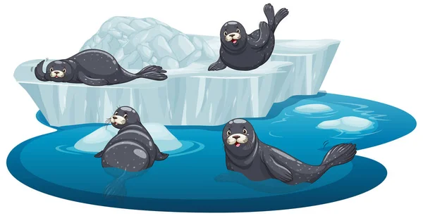 Ізольована картина тюленів на льоду — стоковий вектор