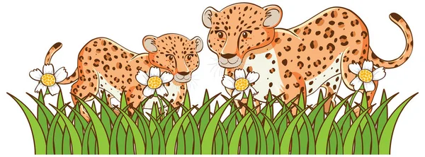Foto isolata di ghepardi in giardino Illustrazione Stock