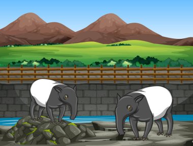 Hayvanat bahçesinde iki tapirli sahne