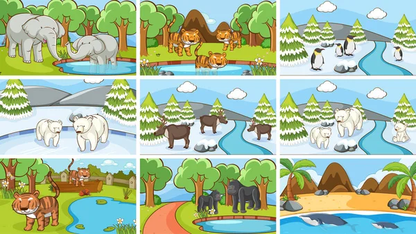 Escenas de fondo de animales en la naturaleza — Vector de stock