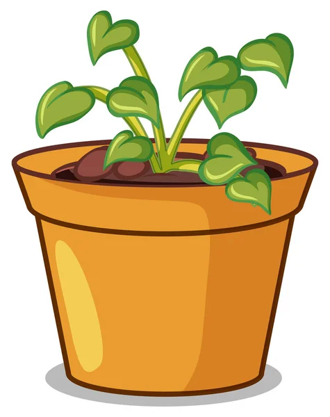 Plante en pot sur fond blanc — Image vectorielle