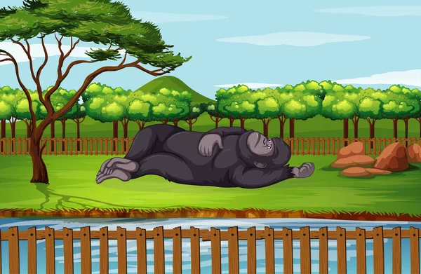 Scéna s gorilou v zoo — Stockový vektor