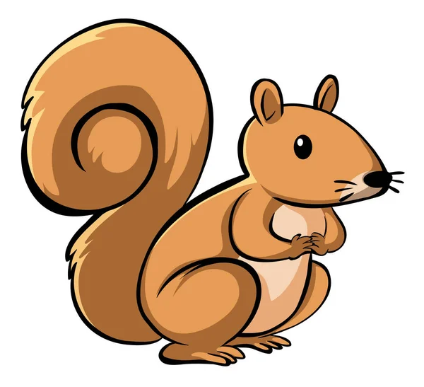 Carino scoiattolo su sfondo bianco — Vettoriale Stock