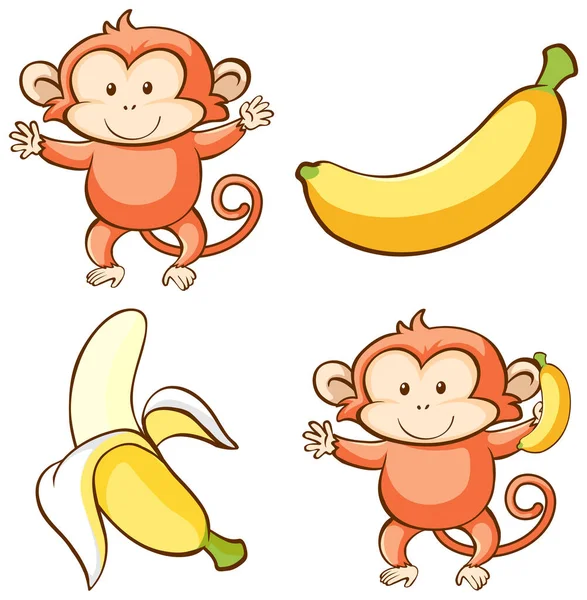 Imagem isolada de macaco e banana —  Vetores de Stock