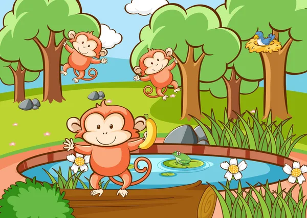 Szene mit Affen im Wald — Stockvektor