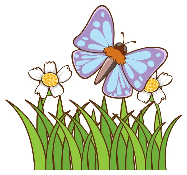 하얀 배경에 있는 푸른 나비 — 스톡 벡터