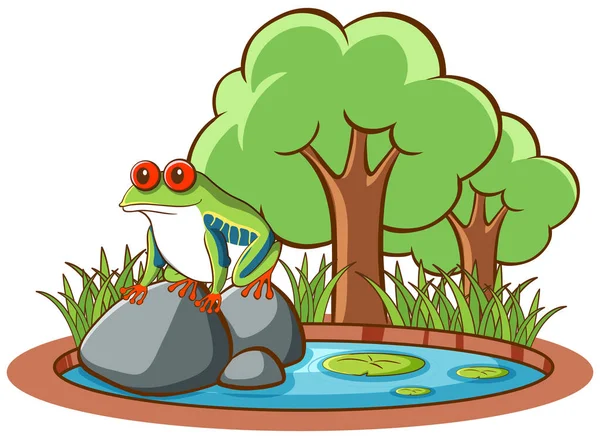 Isolated picture of frog on rock — Stock Vector