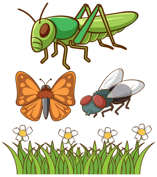 Isolated picture of different bugs — Stock Vector