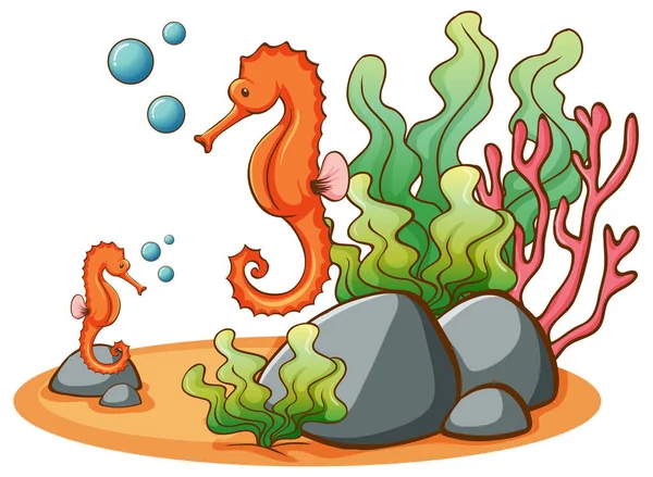 Seahorses on white background — Stock Vector