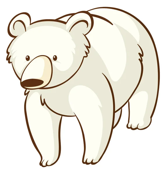 Polar bear on white background — Stock Vector