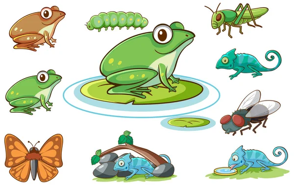 Conjunto aislado de diferentes insectos — Vector de stock