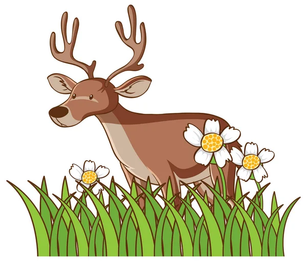 Isolated picture of deer — Stock Vector