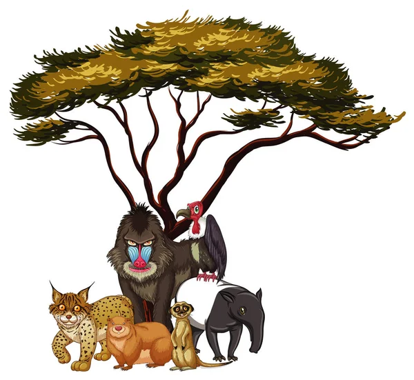 Imagem isolada de animais selvagens debaixo da árvore — Vetor de Stock