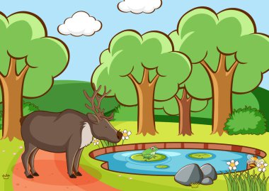 Ormanda geyik sahnesi