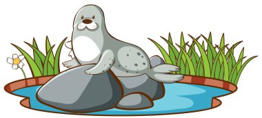 Kayanın üzerindeki gri fokun izole edilmiş resmi.