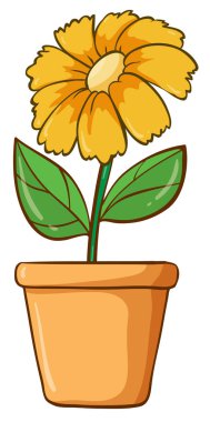 Kil çömlekte tek çiçek