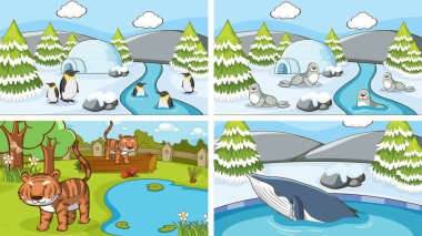 Vahşi doğadaki hayvanların arka plan görüntüleri.