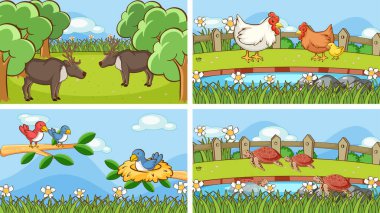 Vahşi doğadaki hayvanların arka plan görüntüleri.