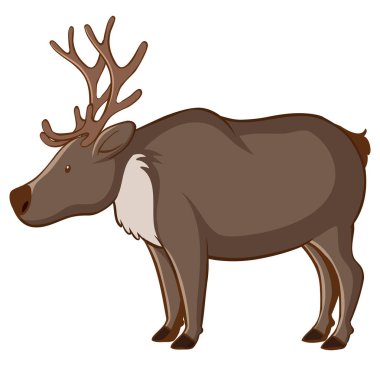 beyaz zemin üzerinde Ren geyiği