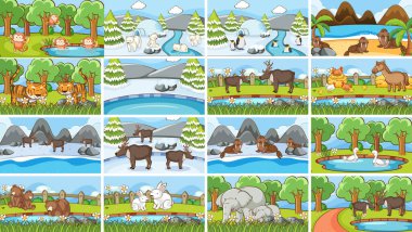 Vahşi doğadaki hayvanların arka plan görüntüleri.