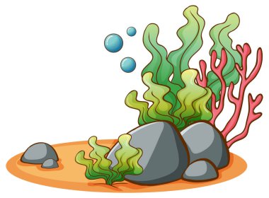 Beyaz zemin üzerinde yosunlar ve mercanlar