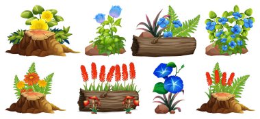 Kayalar ve ahşap üzerinde renkli çiçekler büyük set