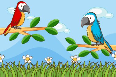 Bahçede iki papağan manzarası