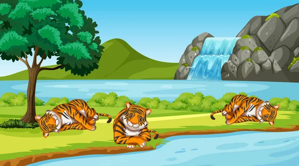 Scene with wild tigers in the park — Stock Vector