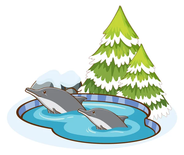 Twee dolfijnen in water — Stockvector