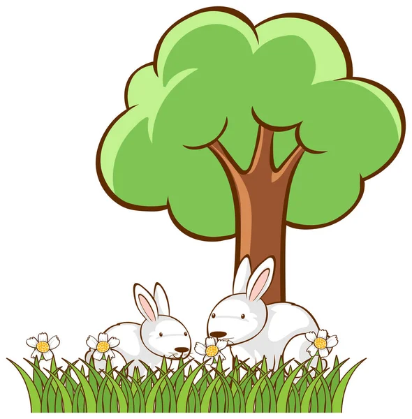 Photo isolée de deux lapins dans le jardin — Image vectorielle