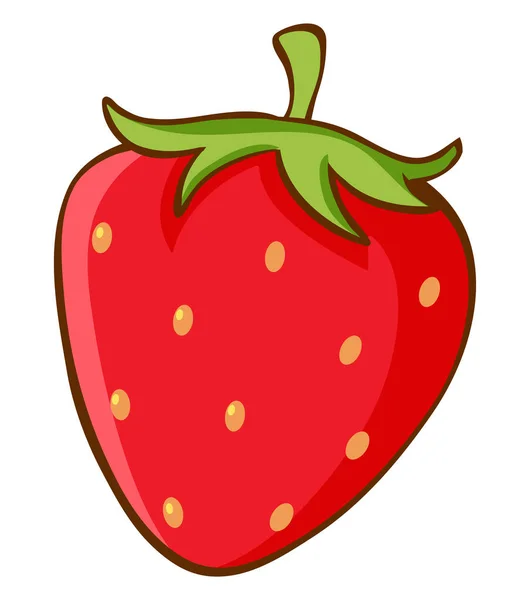 하얀 배경에 있는 붉은 딸기 — 스톡 벡터